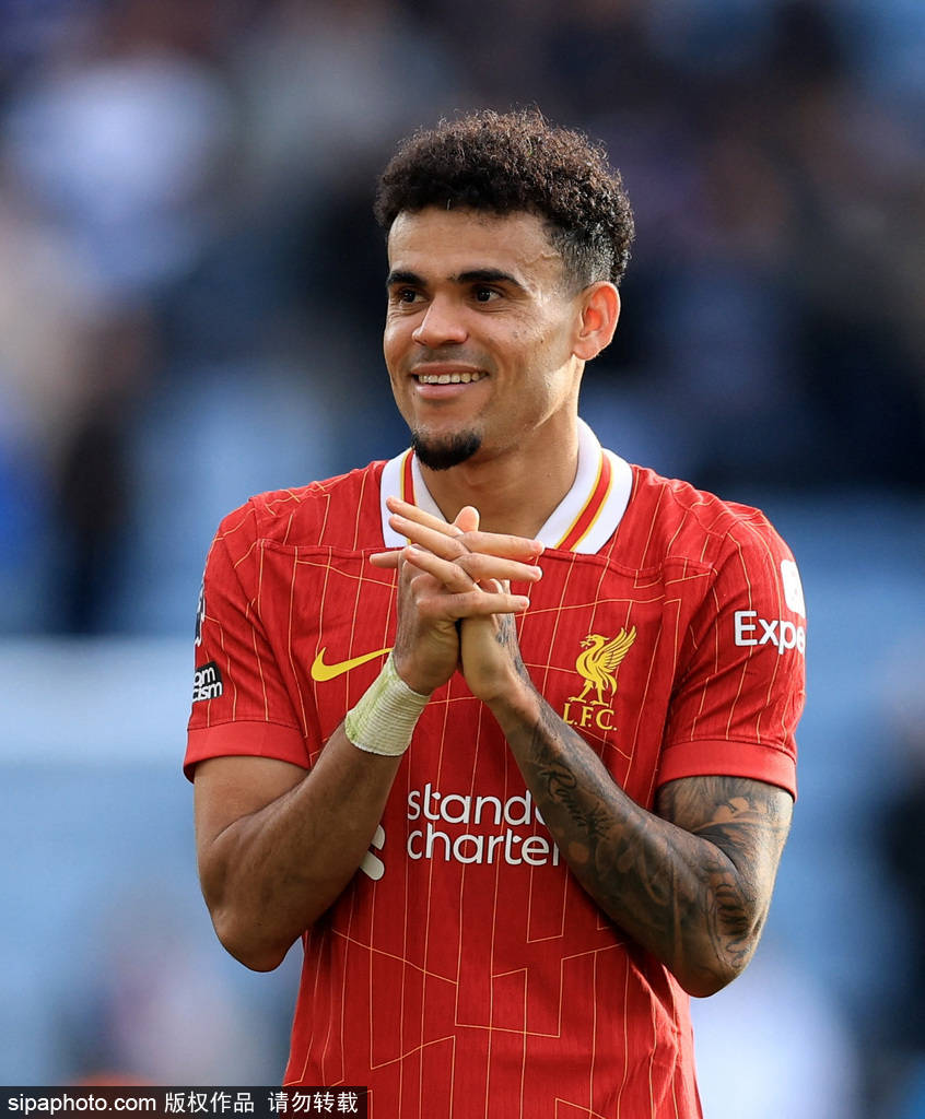 仅仅体现在 仅仅体现在